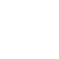 Icon Coaching
